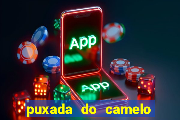 puxada do camelo jogo do bicho